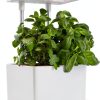 Back to the Roots v1.0 Hydroponic Grow Kit, 2022 Model-4