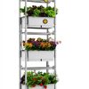 AOONEG Hydroponics Growing System 3 Layer 42Pods Indoor Herb Garden-1