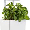 Back to the Roots v1.0 Hydroponic Grow Kit, 2022 Model-0