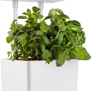 Back to the Roots v1.0 Hydroponic Grow Kit, 2022 Model-0