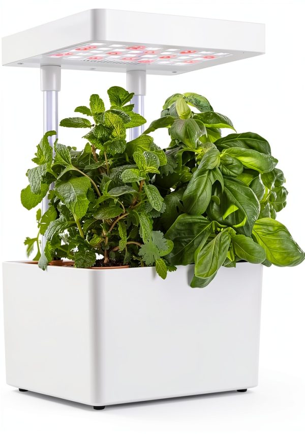 Back to the Roots v1.0 Hydroponic Grow Kit, 2022 Model-0