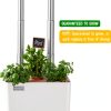 Back to the Roots v1.0 Hydroponic Grow Kit, 2022 Model-3