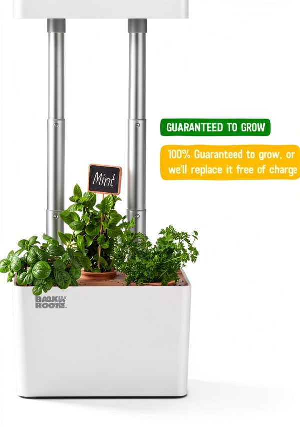 Back to the Roots v1.0 Hydroponic Grow Kit, 2022 Model-3